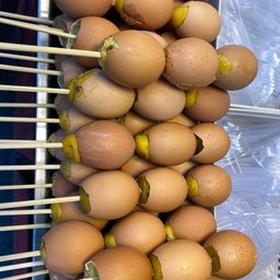 ไข่ทรงเครื่อง