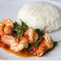 ข้าวกะเพรา