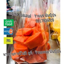 มะละกอฮอลแลนด์