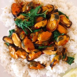 ข้าวราดกระเพราหอยแมลงภู่