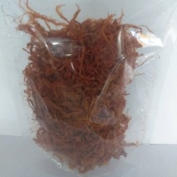 หมูฝอย ใหญ่