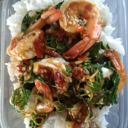 ผัดกะเพรากุ้ง