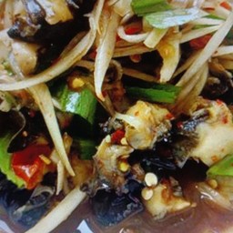 ตำมะม่วงใส่หอยนา