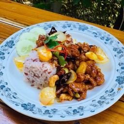 ข้าวไก่ตลุยสวนเม็ดมะม่วง