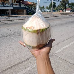 ออมสินมะพร้าวปั่น