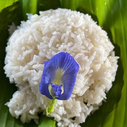 ข้าวเปล่า(หอมมะลิ)