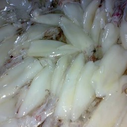 ปลาหมึกสไตล์