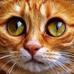 อ๊อฟ คอฟฟี่ Sukhothai