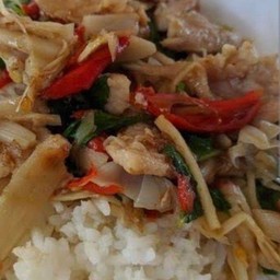 ผัดกระเพราหมูชิ้นหน่อไม้ดอง  เสิร์ฟพร้อมข้าวหอมมะลิ ฟรีน้ำซุป