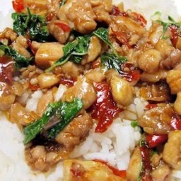 กะเพราไก่