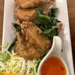 ปีกไก่ ไอคิว