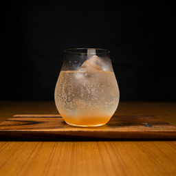 Peach and Plum Soda