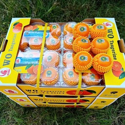 ส้มไต้หวัน แบรนด์นกแก้ว HFT