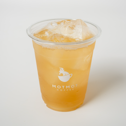 Kombucha