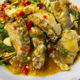 ผัดฉ่ากะพง (ผัดสด)