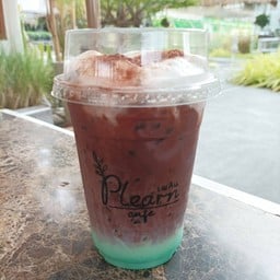 โกโก้มิ้นท์