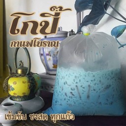 บลูมิ้นนม