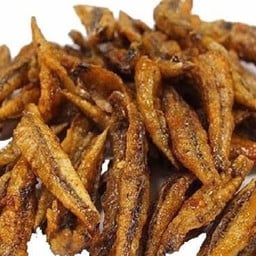 ปลากรอบ