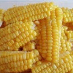 ข้าวโพด