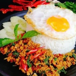 โก๋ต้นกะเพราบ้าน พริกแห้งรสเด็ด เผ็ดร้อน ตามสั่ง 2469