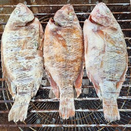 ปลาทับทิมเผาจัมโบ้