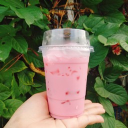 นมเย็นชมพู