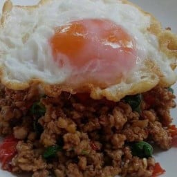 ขนมจีนน้ำยา&ข้าวกระเพรา IN-HOME