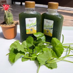 [10แถม1] น้ำใบบัวบกแท้(หญ้าหวาน0%)250ml