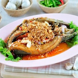 ปลาช่อนกลางสวน