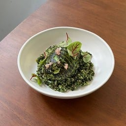 Kale Quinoa Coriander Salad