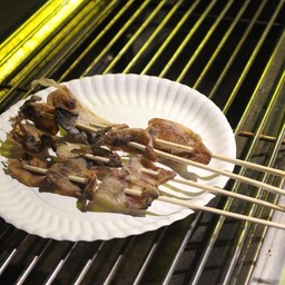 หมึกกะตอย