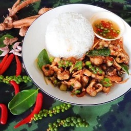 ข้าวผัดเผ็ดปลาไหล