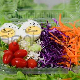 สลัดผัก (เล็ก)