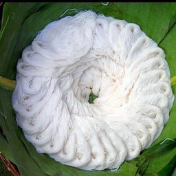 ส้มตำPY ลาดพร้าวซอย1