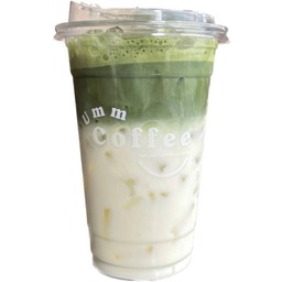Iced Matcha Latte