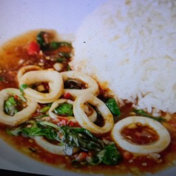 ข้าวกะเพราหมึก