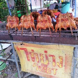 ไก่ย่างวิเชียรบุรีน้องลิซ่า ไก่ย่างวิเชียรบุรี น้องลิซ่า สาขา 2