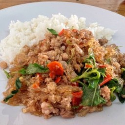 ข้าวราดกะเพราหมูใส่วุ้นเส้น