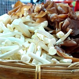 เพิ่มเห็ดรวม