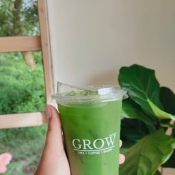 มัทฉะเย็น