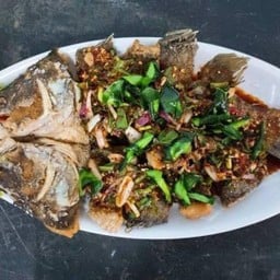 ปลากระพงหลงน้ำ