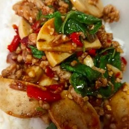 กะเพราหมูยอหมูสับ(ราดข้าว)