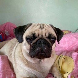 ให้ทิปน้องหนุน