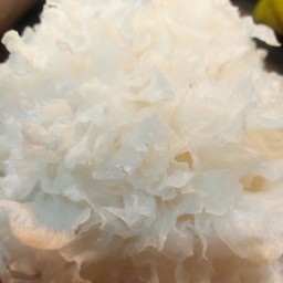 เพิ่มเห็ดขาว