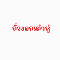 ถั่วงอกเต้าหู้หมูสับ