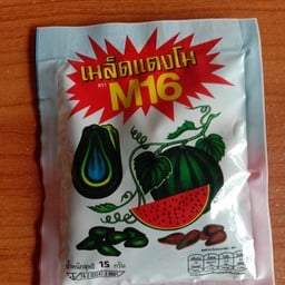 เมล็ดแตงโม