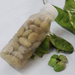 สะตอดอง