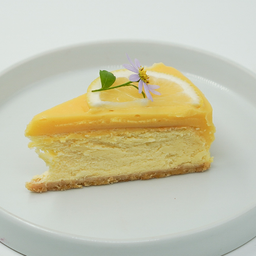 Lemon Cheesecake