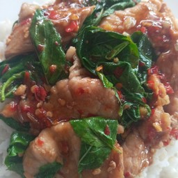 กระเพราหมูชิ้นราดข้าว