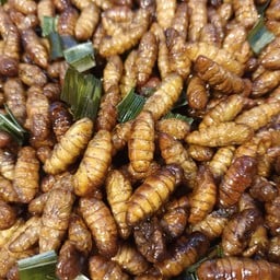 ดาวศิริ แมลงทอด ตลาดนัดทางโค้ง มมส. สาขา2